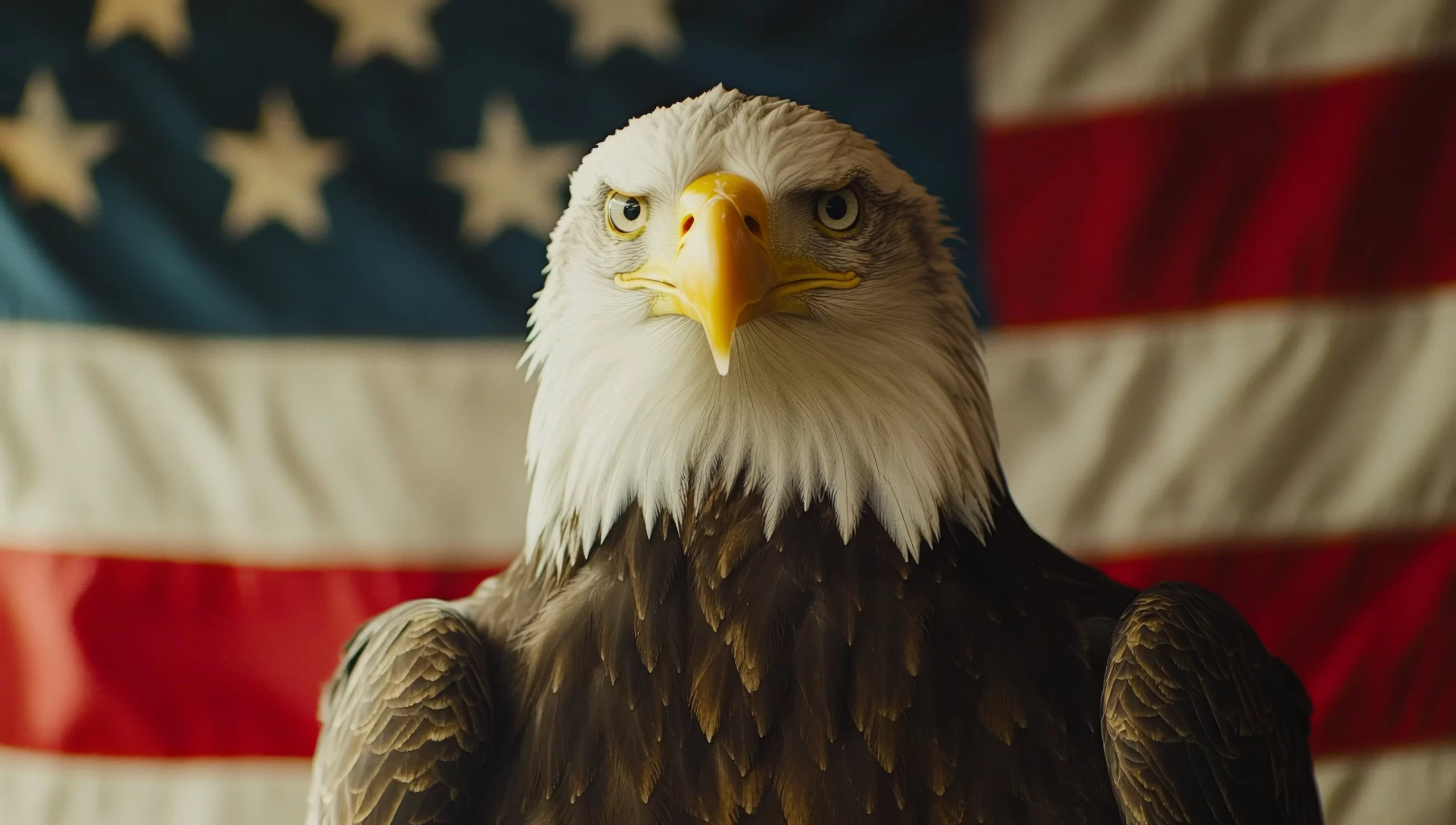 vecteezy_majestic-bald-eagle-perched-in-front-of-an-american-flag_OlegGapeenko-min-scaled